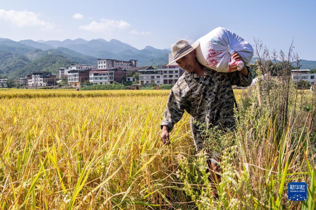 空间游戏捕鱼大亨
